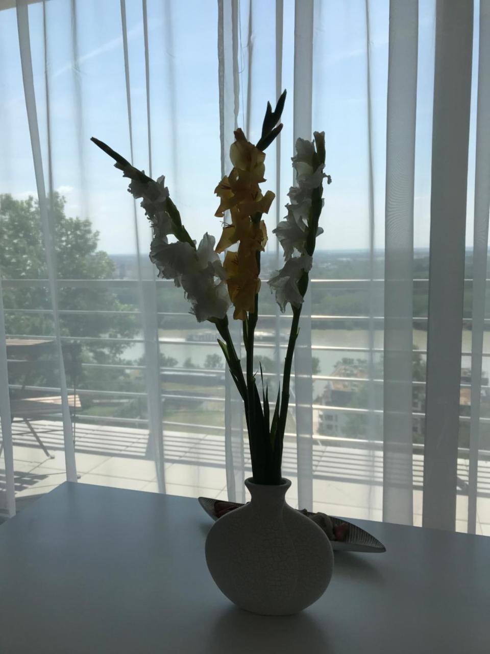 River View Residence Братислава Екстериор снимка